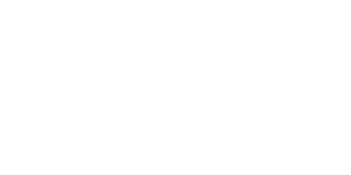 AnyConv.com__tiny